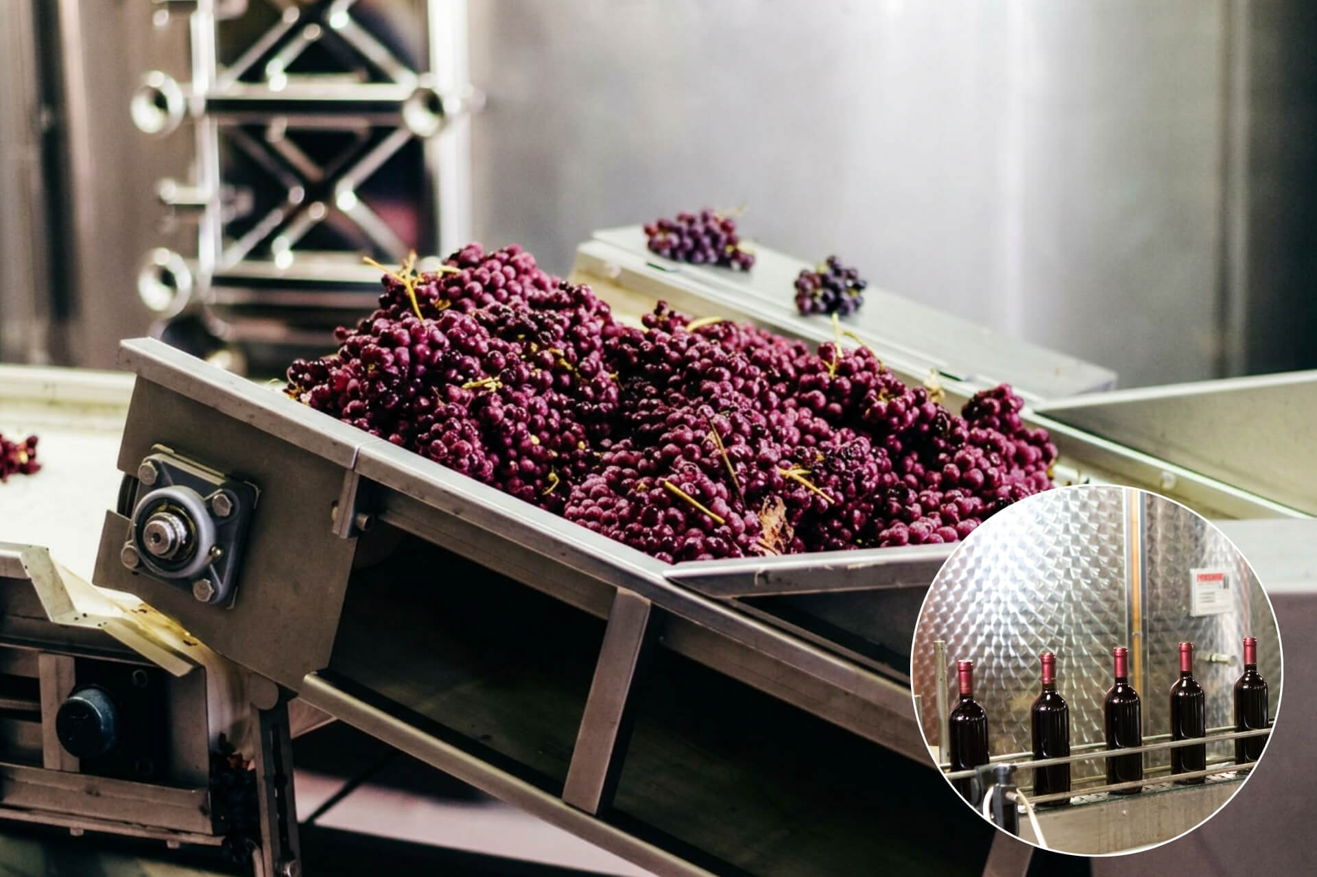 Wine Production