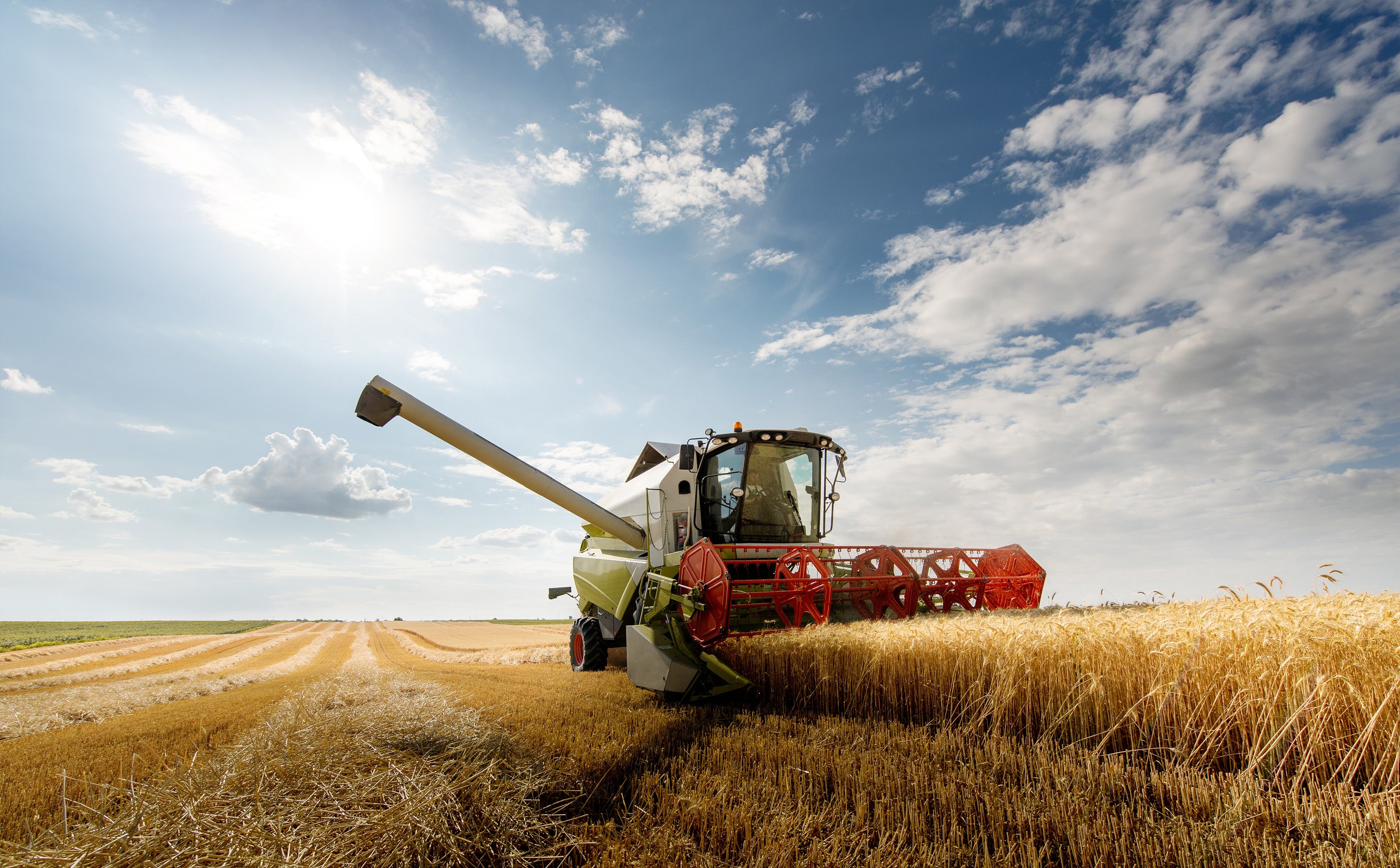 Agriculture
